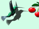 Humming Bird Animation