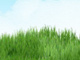 Rolling grass animation