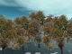 snowfall