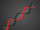 DNA Flash Animation