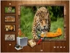 Animals Photo Gallery in Flash Animals Photo Gallery in Flash