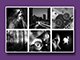Simple Photo Gallery Simple Photo Gallery
