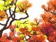 Autumn Trees Autumn Trees
