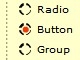 Custom Radio Button Group