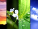 Image Menu v2 Image Menu v2